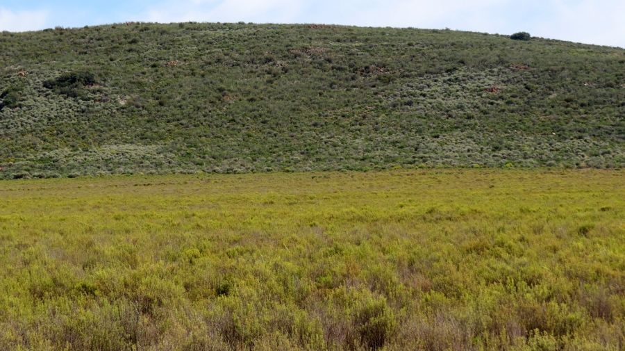 Commercial Property for Sale in Montagu Rural Western Cape